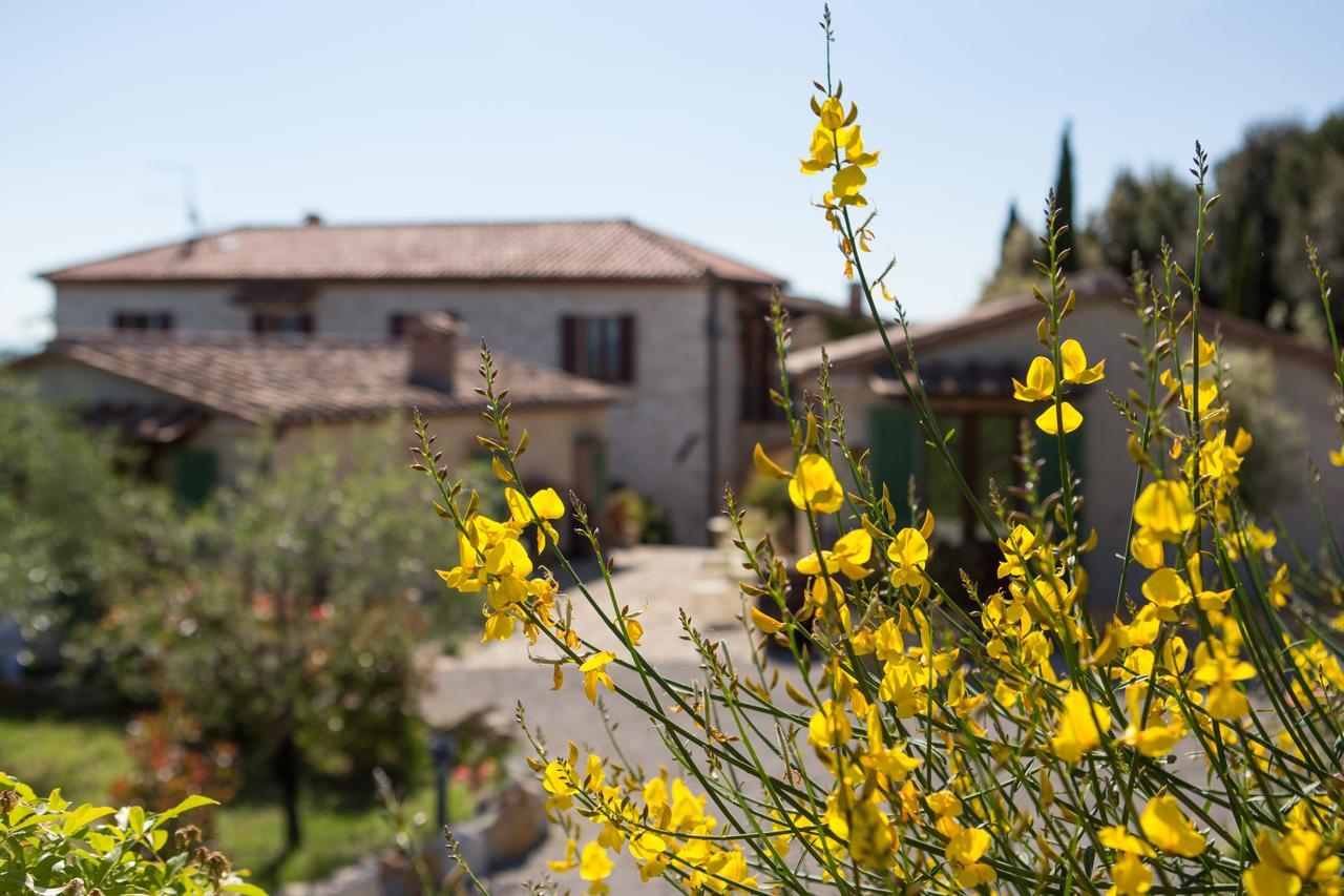 Agriturismo Borghetto Il Montino Раполано-Терме Экстерьер фото